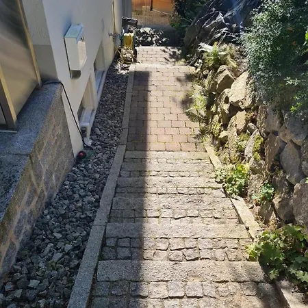Neu Im Nationalpark Bayrischer Wald Apartment *